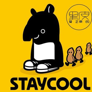 Staycool2009《黑皮是正常的》专辑封面图片.jpg
