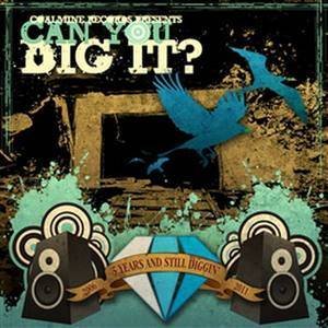 Various Artists2011《Can You Dig It》专辑封面图片.jpg