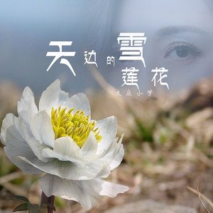 大庆小芳2020《天边的雪莲花》专辑封面图片.jpg