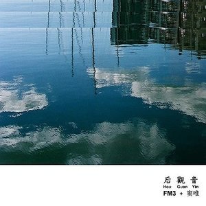 窦唯2006《后观音》专辑封面图片.jpg