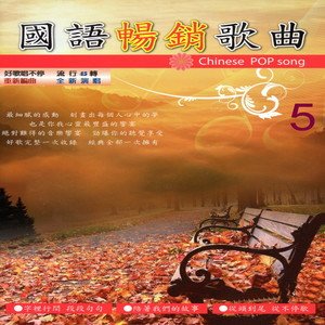 华语群星1990《国语畅销歌曲 流行45转05》专辑封面图片.jpg