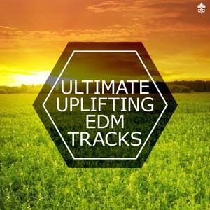 Various Artists2017《Ultimate Uplifting EDM Tracks》专辑封面图片.jpg