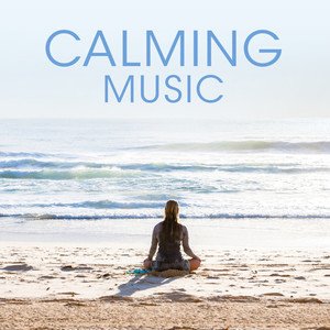 Various Artists2019《Calming Music》专辑封面图片.jpg