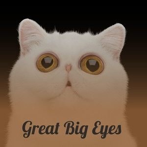 Various Artists2020《Great Big Eyes》专辑封面图片.jpg