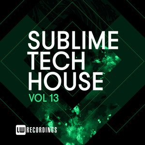 Various Artists2020《Sublime Tech House, Vol. 13》专辑封面图片.jpg