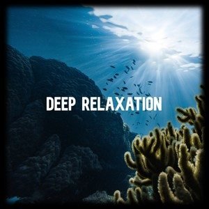 Various Artists2021《Deep Relaxation》专辑封面图片.jpg