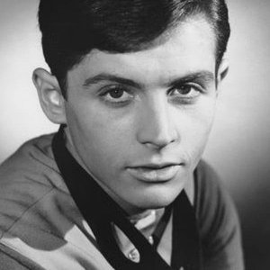 Burt Ward.jpg