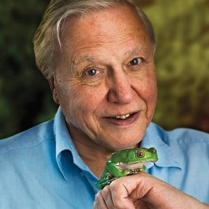 David Attenborough.jpg