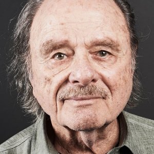 Harris Yulin.jpg