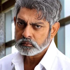 Jagapati Babu.jpg