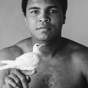 Muhammad Ali.jpg