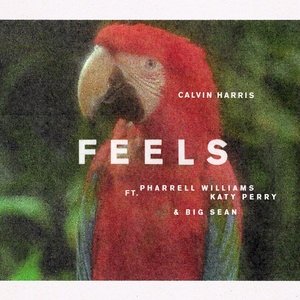 Calvin Harris2017《Feels (Explicit)》专辑封面图片.jpg