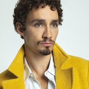 Robert Sheehan.jpg