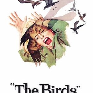 ‘The Birds’ Hitchcock’s Monster Movie - 2012高清海报.jpg