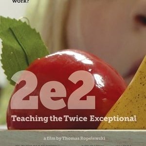 2e2 Teaching the Twice Exceptional - 2018高清海报.jpg