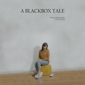 A Blackbox Tale - 2020高清海报.jpg