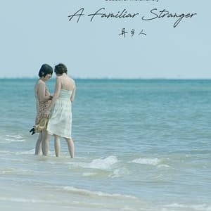 A Familiar Stranger - 2018高清海报.jpg