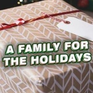 A Family for the Holidays - 2017高清海报.jpg