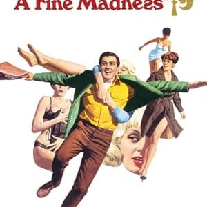 A Fine Madness - 1966高清海报.jpg