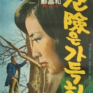 A Full Danger - 1967高清海报.jpg