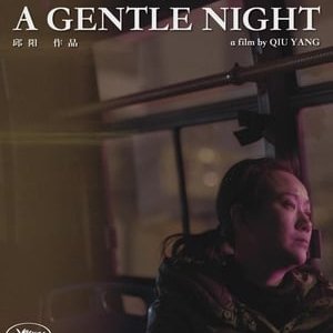 A Gentle Night - 2018高清海报.jpg