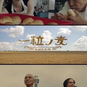 A Grain of Wheat - 2016高清海报.jpg