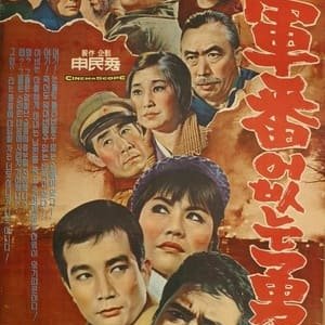 A Hero without a Serial Number - 1966高清海报.jpg