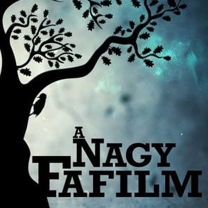 A Nagy Fafilm - 2014高清海报.jpg