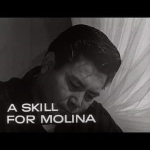 A Skill for Molina - 1964高清海报.jpg