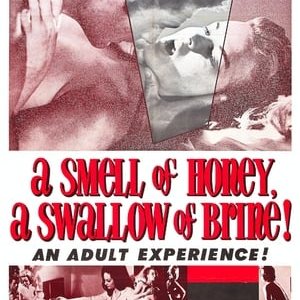 A Smell of Honey, a Swallow of Brine - 1966高清海报.jpg