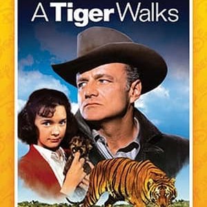 A Tiger Walks - 1964高清海报.jpg