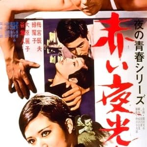 Akai Yakôchû - 1966高清海报.jpg