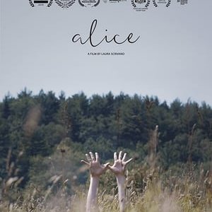 Alice - 2017高清海报.jpg