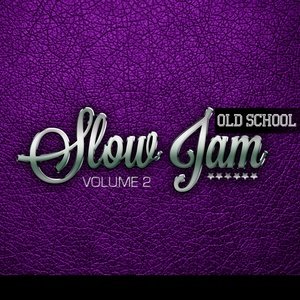 Dj First Mike2014《Old School Slow Jam, Vol. 2》专辑封面图片.jpg