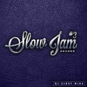 Dj First Mike2014《Slow Jam, Vol. 3》专辑封面图片.jpg