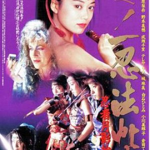 くノ一忍法帖忍者月影抄(Lady Ninja Reflections of Darkness)1996电影封面.jpA.D.jpg