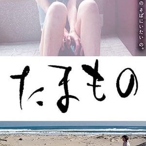 便当(恩赐  熟女・発情 タマしゃぶり  たまもの 熟女発情  Tamamono  Obento  Lunch Box)2004电影封面.jpg