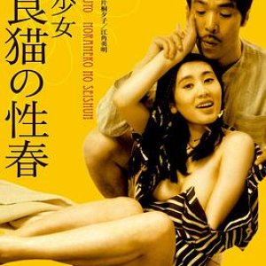 不良少女野良猫的性春(Furyo shoujo noraneko no seishun)1973电影封面.jpg