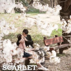 布拉芙夫人(情欲诱惑(港台)  Scarlet Innocence)2014电影封面.jpg