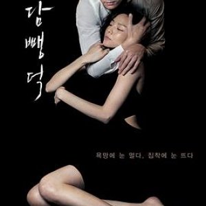 布拉芙夫人(情欲诱惑(港台),Scarlet Innocence)2014电影封面.jpg