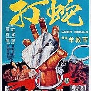 打蛇(Lost Souls)1980电影封面.jpg