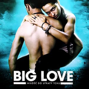 大爱(Big Love)2012电影封面.jpg