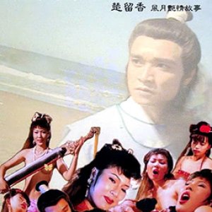 盗帅之风雨情(艳帅风雨情)1992电影封面.jpg