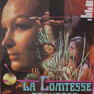 堕落的伯爵夫人(The Perverse Countess)1974电影封面.jpg