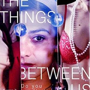 堕落的人妻(The Things Between Us)2008电影封面.jpg