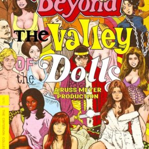 飞越美人谷(Beyond the Valley of the Dolls)1970电影封面.jpg