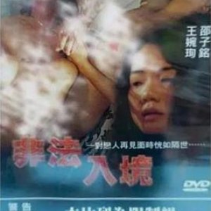 非法入境(Illegal Entry)1997电影封面.jpg