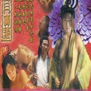 风月宝鉴之初入桃源洞1999电影封面.jpg