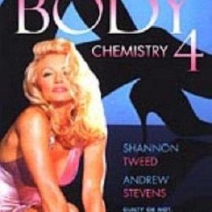 感官吸引力4(Body Chemistry 4)1995电影封面.jpg