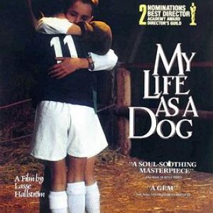 狗脸的岁月(狗脸岁月  My Life as a Dog)1985电影封面.jpg